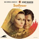 Sunflower-Sophia Loren(해바라기-소피아 로렌 주연) 이미지