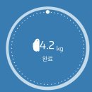 자연한의원 | [다이어트] 자연과 한의원 1주차 솔직 후기 (내돈내산)