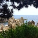 영덕04 Daum카페
