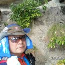 금병농장 이미지