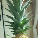 예당무역 이미지