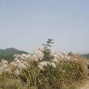 우포늪 자전거 대여소 이미지