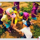 만석군농장 이미지