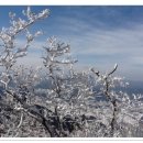 한라산풍경 Daum카페