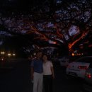 로얄게임방 이미지