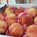 형제청과 이미지