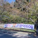 [경주 블루원 글램핑][울주휴게소(함양방향)]부산에서 떠나는 경주여행feat.솔직후기