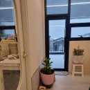 발리애견호텔 이미지