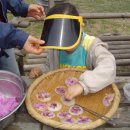 아름농장 이미지