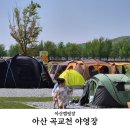 아산곡교천야영장 | 아산 곡교천 야영장 예약 명당 꿀팁 완벽 정리