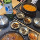 매탄2동 199-42~매탄2동 199-50 | 시드니 공항 교통 유심 정리 / 포시즌스호텔 / 베티스 버거 / 옵저버토리힐 사진 스팟
