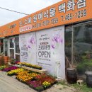 다향화원 이미지