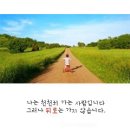 화정천동로 이미지