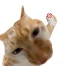 (신)금릉교통노동조합 | 진짜 여름 꽉꽉 담았다...🌞 7-8월 일상 모음