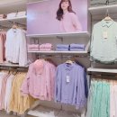 스파오 이미지