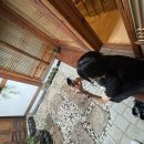 🌿북촌 향수 공방 카넬라(Cannella) 방문 후기🌿