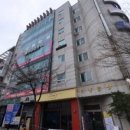 에니펫동물병원