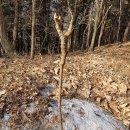 160007 | ^ 몽가북계 종주/ 2018.02.25.일/ 1809