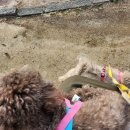 미래내일 일경험[부산관광공사 인턴]_합격&amp;직무교육후기