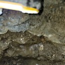 부동축사 이미지