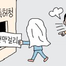 고향막걸리 이미지