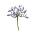 대정요양병원 이미지