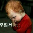 오늘도한잔 Daum카페