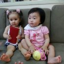 채은목장 이미지