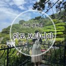 금주농장 | 10월 거제여행 장승포 출발 외도 보타니아 비오는날 후기