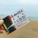 왜목바다향기 이미지