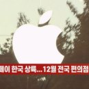 시니스
