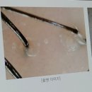 대하식자재마트 | 천안 두피케어 찰스리헤어테크 천안쌍용동점 방문 후기