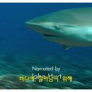 휴먼플래닛 이미지