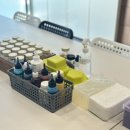 DIY 컬러테라피 천연화장품 이미지