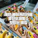 몽산포주차장 이미지