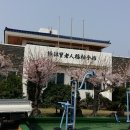 한수리경로당 Daum카페