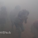 이천송정초병설 이미지