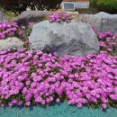 미암초등학교 이미지