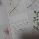 힐링 꽃과 식물 세밀화 이미지