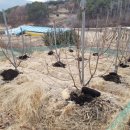 목골농장 이미지