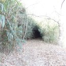 구산-006 이미지