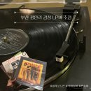 필노래바 | 부산 광안리 레트로 감성 LP바 칵테일바 혼술바 필레코드온 내돈내산 추천