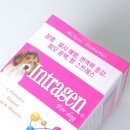 인트라젠 이미지