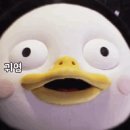 사인북