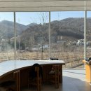 위스픽 | 용인 양지면 카페 투어, 주차 넓고 뷰 좋은 아이소 카페 솔직 후기