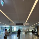 자연솜씨 이대서울병원 | 왓츠인마이블로그 1주 국가검진 이대서울병원 자연솜씨 청국장