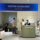 (주)재미인터랙티브 | 일산 스타필드 원더빌리지 방문 후기 미디어아트 감성 폭발 키즈카페 추천