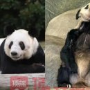 (주)판다미디어