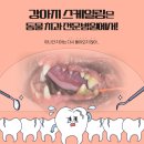 케어덴 동물치과&내과병원 이미지