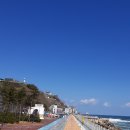 바람의언덕길 이미지